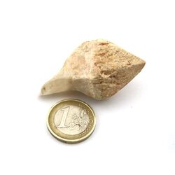 Bergkristall Zepterquarz / Szepterquarz Natur-Kristall - Rarit�t - ca. 4,5 cm x 3,1 cm x 2,3 cm