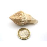 Bergkristall Zepterquarz / Szepterquarz Natur-Kristall -...