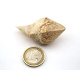 Bergkristall "Zepterquarz / Szepterquarz"...