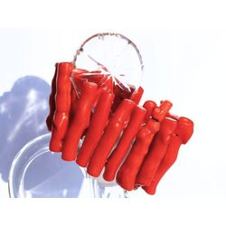 Bambuskoralle rot XXL Stab-Armband - ca. 19 cm - Sonderqualit�t - Rarit�t -