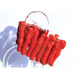Bambuskoralle rot XXL Stab-Armband - ca. 17 cm - Sonderqualit�t - Rarit�t -