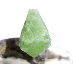 Peridot Kristall- / Rohsteinform Anhnger Silberse (Olivin / Chrysolith) - Sonderqualitt - ca. 3,7 cm x 2 cm x 1,4 cm (GKS)