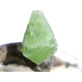 Peridot Kristall- / Rohsteinform Anhänger Silberöse (Olivin / Chrysolith) - Sonderqualität - ca. 3,7 cm x 2 cm x 1,4 cm (GKS)