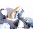 Dendritenopal (Opal) Trommelsteine - Sonderqualität - ca. 2 - 3 cm / ca. 5-7g