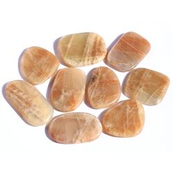 Mondstein apricot (Feldspat) XXL Scheibensteine - AA-Sonderqualitt - ca. 4,7 - 5 cm / ca. 25-29g/St