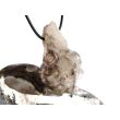 Rauchquarz hell + dunkel "Skelettquarz / Elestial" XXXL Natur-Kristall gebohrt - Rarität - Sonderqualität - ca. 5,5 cm x 4 cm x 2,3 cm