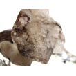 Rauchquarz hell + dunkel "Skelettquarz / Elestial" XXXL Natur-Kristall gebohrt - Rarität - Sonderqualität - ca. 5,5 cm x 4 cm x 2,3 cm