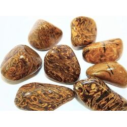 Schlangenjaspis (Schlangenstein / Fossilienkalk)...