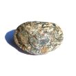 Hornblende mit Granat - Rohstein - Rarität - ca. 4,9 cm x 3,7 cm x 3 cm
