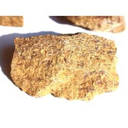 Schlangenjaspis (Schlangenstein / Fossilienkalk) Rohsteine - ca. 80 g - Restbestand -