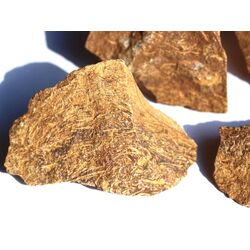 Schlangenjaspis (Schlangenstein / Fossilienkalk)...