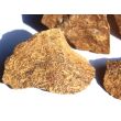 Schlangenjaspis (Schlangenstein / Fossilienkalk) Rohsteine - ca. 50 g - Restbestand -