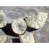 Markasit-Knollen / -Sonnen Rohsteine - Sonderqualität - 2 - 2,7 cm / ca. 20-30 g/St