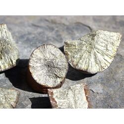Markasit-Knollen-Teile / -Sonnen-Teile - 4 Rohsteine - Sonderqualit�t - ca. 38 g