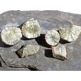 Markasit-Knollen-Teile / -Sonnen-Teile - 4 Rohsteine -...