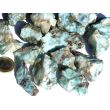 Larimar (Pektolith blau) Rohsteine mittel / Wassersteine - Rarität - ca. 100 g / ca. 3-5 cm