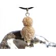 Sandrose gefrostet (Wüstenrose) Rohstein / Anhänger Öse - Sonderqualität - Rarität - ca. 4,5 cm x 2 cm x 1,5 cm