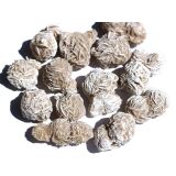Sandrosen gefrostet (Wüstenrosen) - ca. 3 - 4 cm