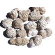 Sandrosen gefrostet (Wüstenrosen) - ca. 3 - 4 cm