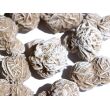 Sandrosen gefrostet (Wüstenrosen) - ca. 3 - 4 cm