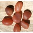 Karneol natur (Carneol) Wassersteine-A-Sonderqualität / Trommelsteine roh - ca. 50 g (GKS)