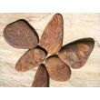 Schlangenjaspis (Schlangenstein / Fossilienkalk) Wassersteine-Sonderqualität / Trommelsteine roh - ca. 50 g (GKS) - Restbestand -