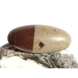 Shiva Lingam Ei (Sandstein/Tonstein) Trommelstein - Sonderqualitt - ca. 3 cm x 1,3 cm (GKS)