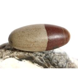 Shiva Lingam Ei (Sandstein/Tonstein) Trommelstein - Sonderqualitt - ca. 3 cm x 1,3 cm (GKS)