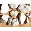 Dolomit mit Pyrit (Zuckerdolomit) Rohsteine extra angetrommelt - Sonderqualität - ca. 50 g - Restbestand -
