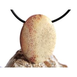 Versteinerte Koralle XXL Schmuckstein Cabochon /...