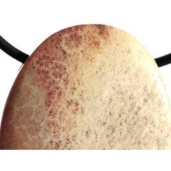 Versteinerte Koralle XXL Schmuckstein Cabochon / Scheibenstein gebohrt - ca. 4 cm x 3 cm x 0,8 cm