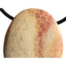 Versteinerte Koralle XXL Schmuckstein Cabochon / Scheibenstein gebohrt - ca. 4 cm x 3 cm x 0,8 cm