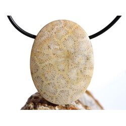 Versteinerte Koralle XXL Schmuckstein Cabochon /...