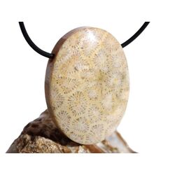 Versteinerte Koralle XXL Schmuckstein Cabochon / Scheibenstein gebohrt - ca. 4 cm x 3 cm x 1 cm