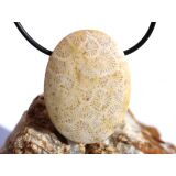 Versteinerte Koralle XXL Schmuckstein Cabochon / Scheibenstein gebohrt - ca. 4 cm x 3 cm x 1 cm