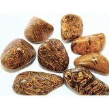 Schlangenjaspis (Schlangenstein / Fossilienkalk)...