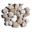 Sandrosen gefrostet (Wüstenrosen) - ca. 2 - 2,4 cm