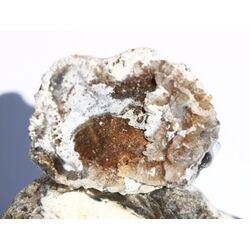 Chalcedon-Rosette Rohstein / Stufe - Sonderqualitt - ca....