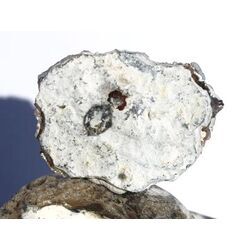 Chalcedon-Rosette Rohstein / Stufe - Sonderqualitt - ca. 4,4 cm x 3,2 cm x 0,9 cm (GKS)