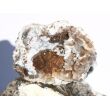 Chalcedon-Rosette Rohstein / Stufe - Sonderqualität - ca. 4,4 cm x 3,2 cm x 0,9 cm (GKS)