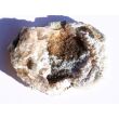 Chalcedon-Rosette Rohstein / Stufe - Sonderqualität - ca. 4,4 cm x 3,2 cm x 0,9 cm (GKS)