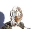 Chalcedon-Rosette Rohstein / Stufe - Sonderqualität - ca. 4,4 cm x 3,2 cm x 0,9 cm (GKS)