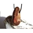 Cappuchino-Jaspis XXXL Trommelstein gebohrt - Sonderqualität - ca. 5 cm x 2,5 cm x 2,2 cm