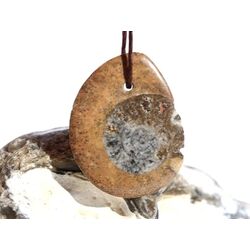 Ammonit in Matrix - Schmuckstein Cabochon / Scheibenstein...