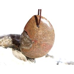 Ammonit in Matrix - Schmuckstein Cabochon / Scheibenstein gebohrt - ca. 3,1 cm x 2,4 cm x 0,5 cm