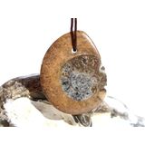 Ammonit in Matrix - Schmuckstein Cabochon / Scheibenstein...