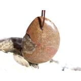 Ammonit in Matrix - Schmuckstein Cabochon / Scheibenstein gebohrt - ca. 3,1 cm x 2,4 cm x 0,5 cm