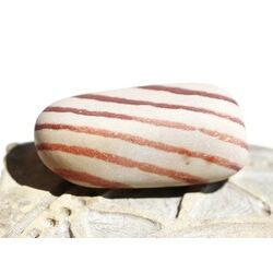 Zebra Rock XL Trommelstein natur / Rohstein - Sonderqualit�t - ca. 3,7 cm x 1,7 cm x 1,5 cm (Fairer Handel/GKS)