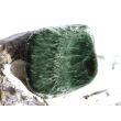Seraphinit (Klinochlor) Trommelstein / Schmuckstein - Sonderqualität - ca. 2,7 cm x 2,6 cm x 1,3 cm