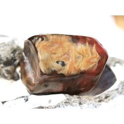 Versteinertes Holz Trommelstein - Sonderqualit�t - ca. 3,1 cm x 2,1 cm x 2 cm (Fairer Handel / GKS)